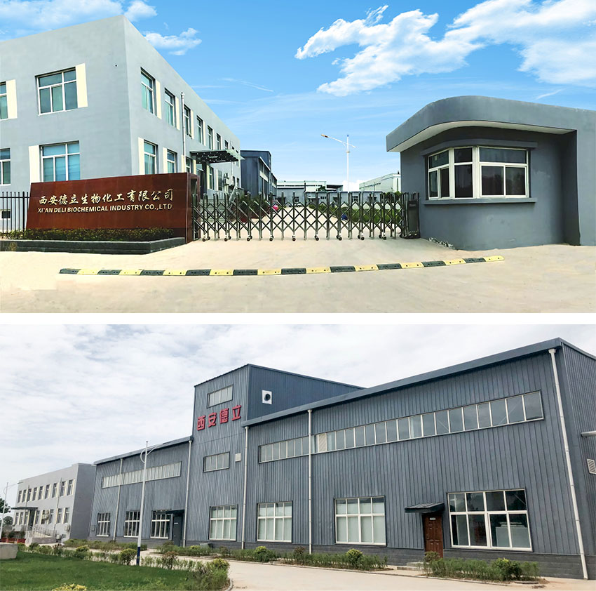Xi'an Deli Biochemical Industry Co., Ltd.: Ledande innovation inom cyklodextrinderivat, stärker läkemedelsindustrin