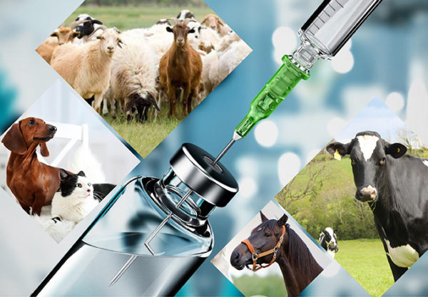 Förbättra veterinärmediciner med hydroxipropyl Betadex